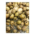 ترشی جنگلی نیم کیلو